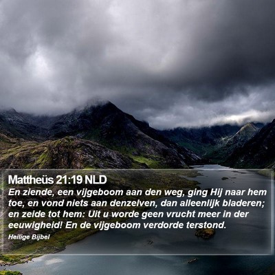 Mattheüs 21:19 NLD Bible Verse Image