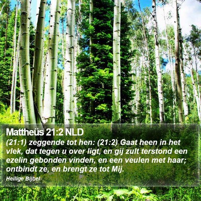 Mattheüs 21:2 NLD Bible Verse Image