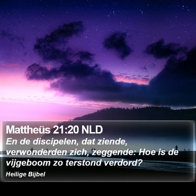 Mattheüs 21:20 NLD Bible Verse Image