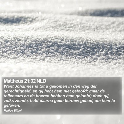 Mattheüs 21:32 NLD Bible Verse Image