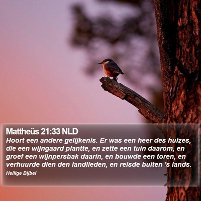 Mattheüs 21:33 NLD Bible Verse Image