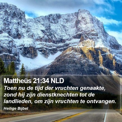 Mattheüs 21:34 NLD Bible Verse Image