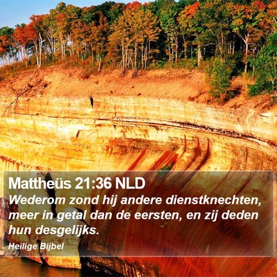 Mattheüs 21:36 NLD Bible Verse Image