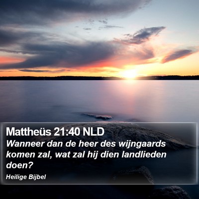Mattheüs 21:40 NLD Bible Verse Image