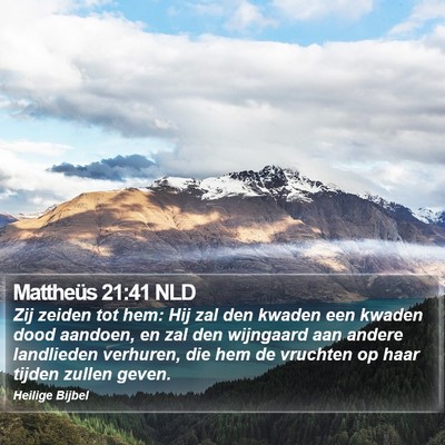 Mattheüs 21:41 NLD Bible Verse Image