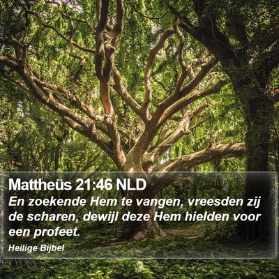 Mattheüs 21:46 NLD Bible Verse Image