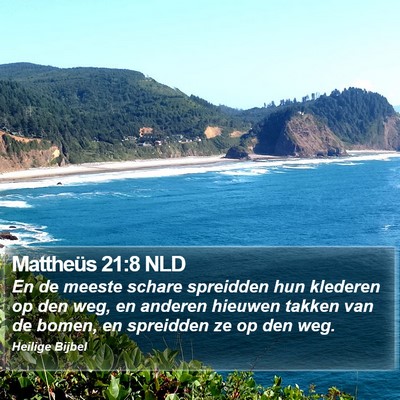 Mattheüs 21:8 NLD Bible Verse Image