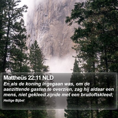 Mattheüs 22:11 NLD Bible Verse Image