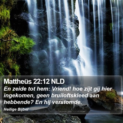 Mattheüs 22:12 NLD Bible Verse Image