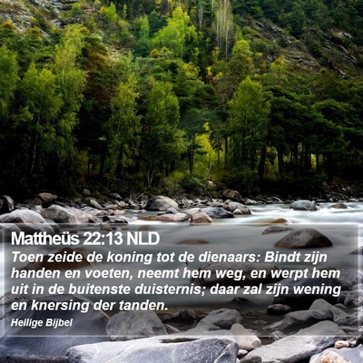Mattheüs 22:13 NLD Bible Verse Image