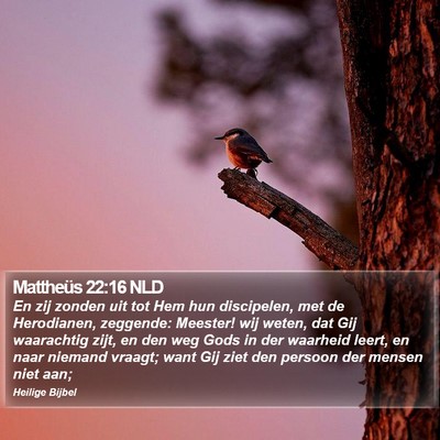 Mattheüs 22:16 NLD Bible Verse Image