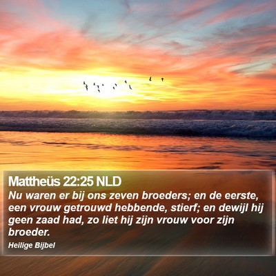 Mattheüs 22:25 NLD Bible Verse Image