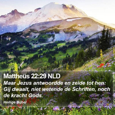 Mattheüs 22:29 NLD Bible Verse Image