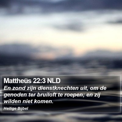 Mattheüs 22:3 NLD Bible Verse Image