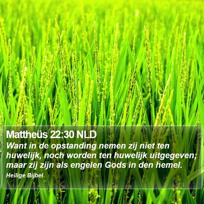 Mattheüs 22:30 NLD Bible Verse Image