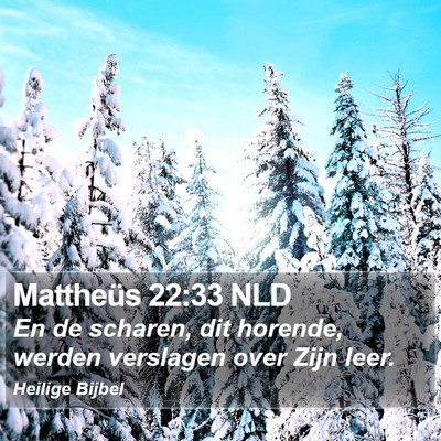 Mattheüs 22:33 NLD Bible Verse Image