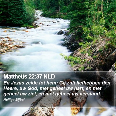 Mattheüs 22:37 NLD Bible Verse Image