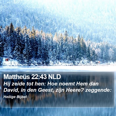 Mattheüs 22:43 NLD Bible Verse Image