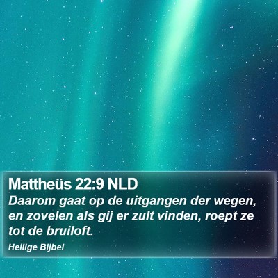 Mattheüs 22:9 NLD Bible Verse Image