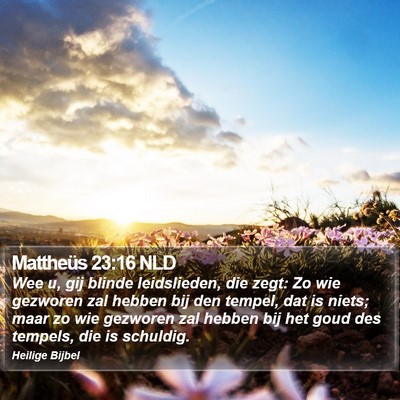 Mattheüs 23:16 NLD Bible Verse Image