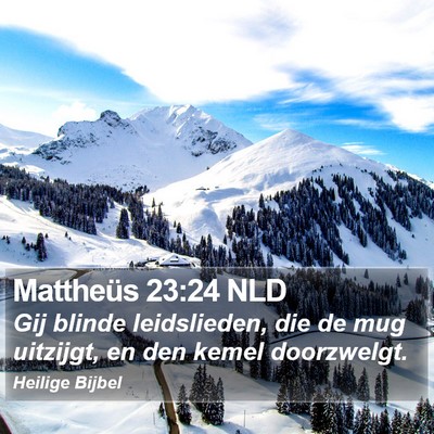 Mattheüs 23:24 NLD Bible Verse Image