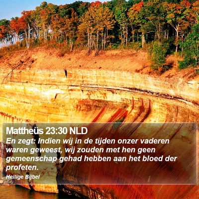 Mattheüs 23:30 NLD Bible Verse Image