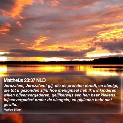 Mattheüs 23:37 NLD Bible Verse Image