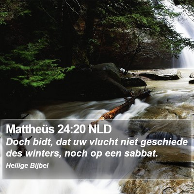 Mattheüs 24:20 NLD Bible Verse Image