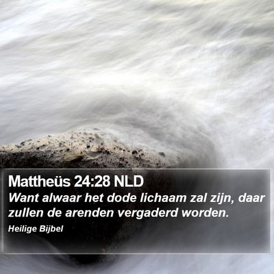 Mattheüs 24:28 NLD Bible Verse Image
