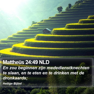 Mattheüs 24:49 NLD Bible Verse Image