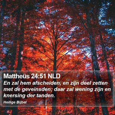 Mattheüs 24:51 NLD Bible Verse Image