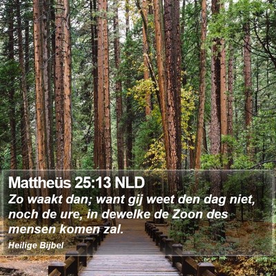 Mattheüs 25:13 NLD Bible Verse Image