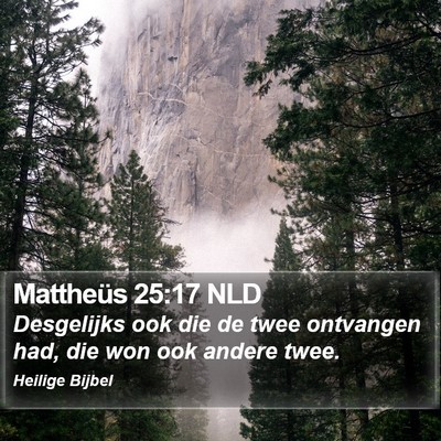 Mattheüs 25:17 NLD Bible Verse Image