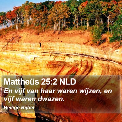 Mattheüs 25:2 NLD Bible Verse Image