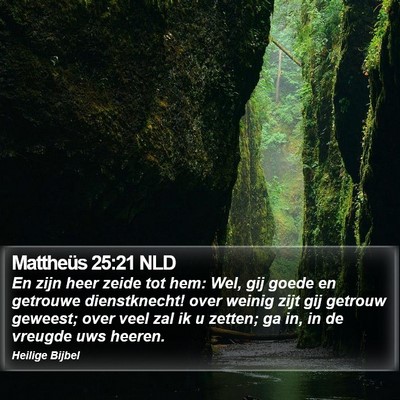 Mattheüs 25:21 NLD Bible Verse Image