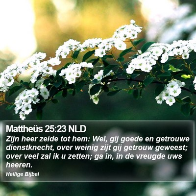 Mattheüs 25:23 NLD Bible Verse Image