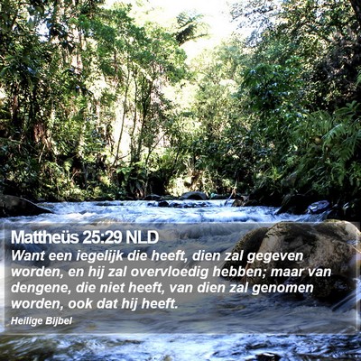 Mattheüs 25:29 NLD Bible Verse Image