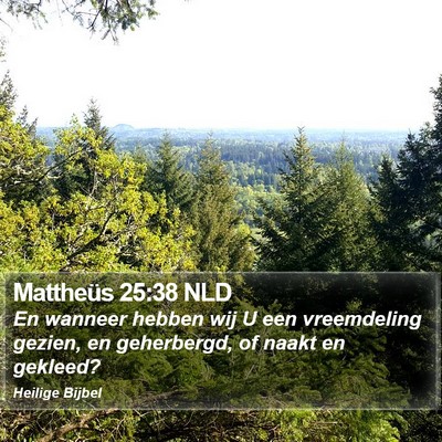 Mattheüs 25:38 NLD Bible Verse Image