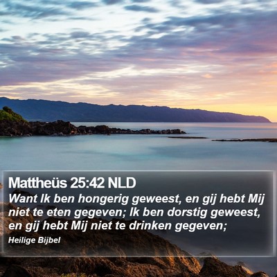 Mattheüs 25:42 NLD Bible Verse Image