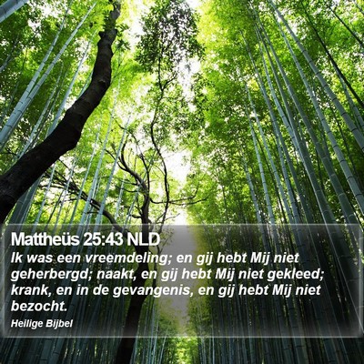 Mattheüs 25:43 NLD Bible Verse Image