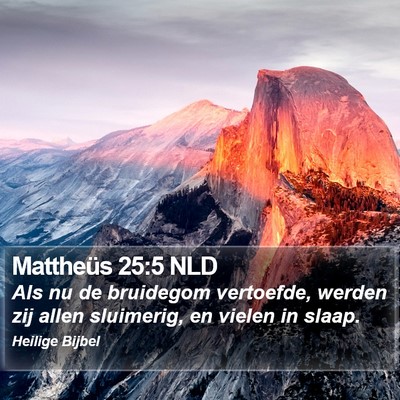 Mattheüs 25:5 NLD Bible Verse Image