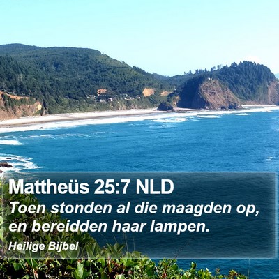 Mattheüs 25:7 NLD Bible Verse Image