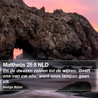 Mattheüs 25:8 NLD Bible Verse Image