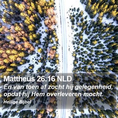 Mattheüs 26:16 NLD Bible Verse Image