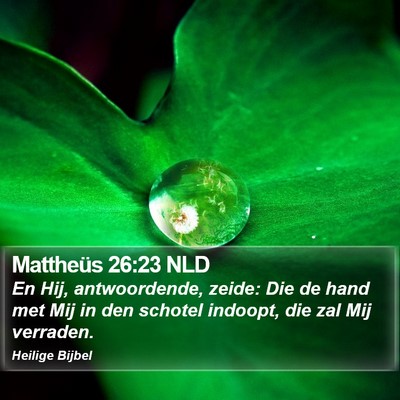 Mattheüs 26:23 NLD Bible Verse Image