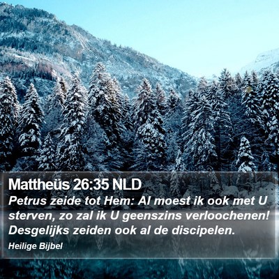 Mattheüs 26:35 NLD Bible Verse Image