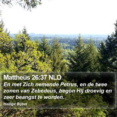 Mattheüs 26:37 NLD Bible Verse Image