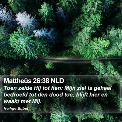 Mattheüs 26:38 NLD Bible Verse Image