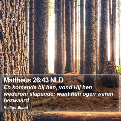 Mattheüs 26:43 NLD Bible Verse Image