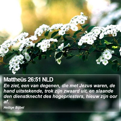 Mattheüs 26:51 NLD Bible Verse Image